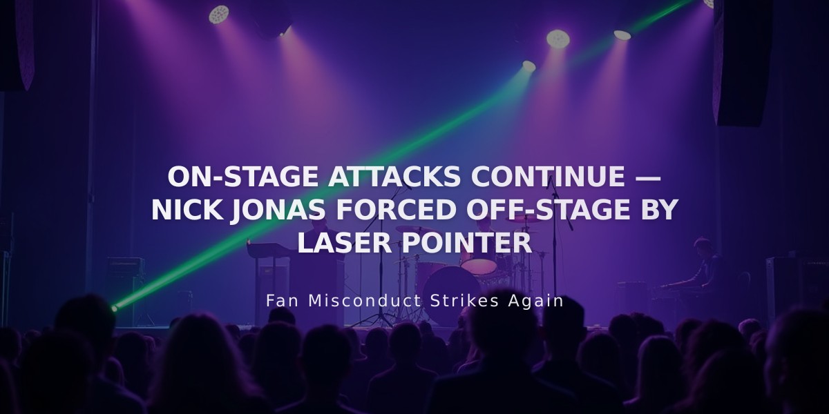 Nick Jonas Forced to Halt Concert After Fan's Dangerous Laser Pointer Incident