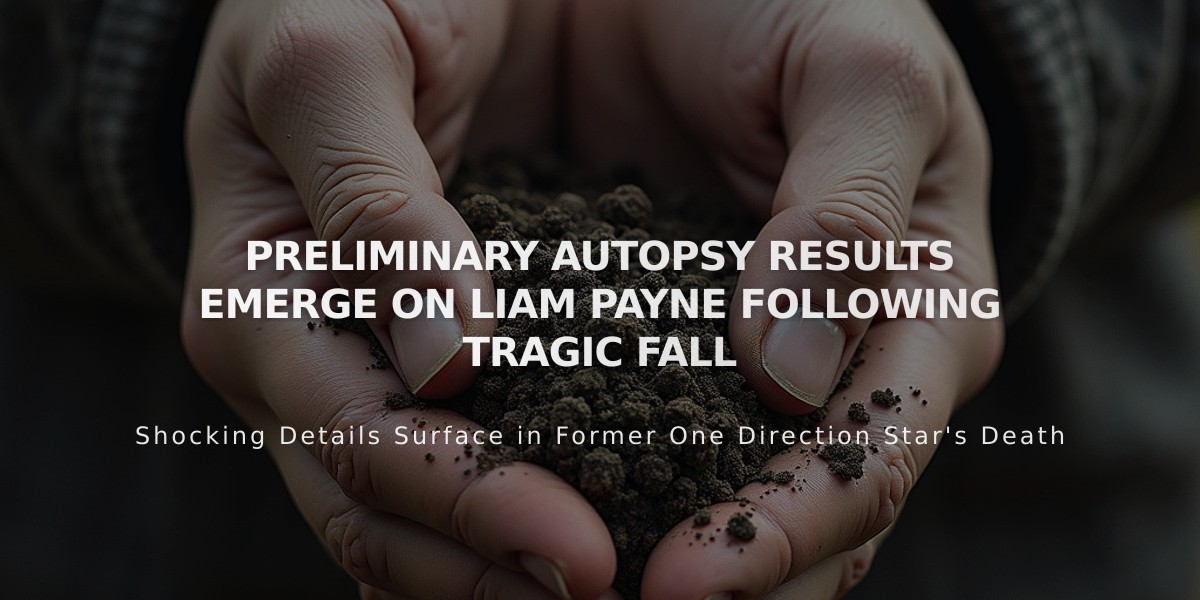 Liam Payne Autopsy Details Reveal Fatal Fall Injuries in Buenos Aires Hotel