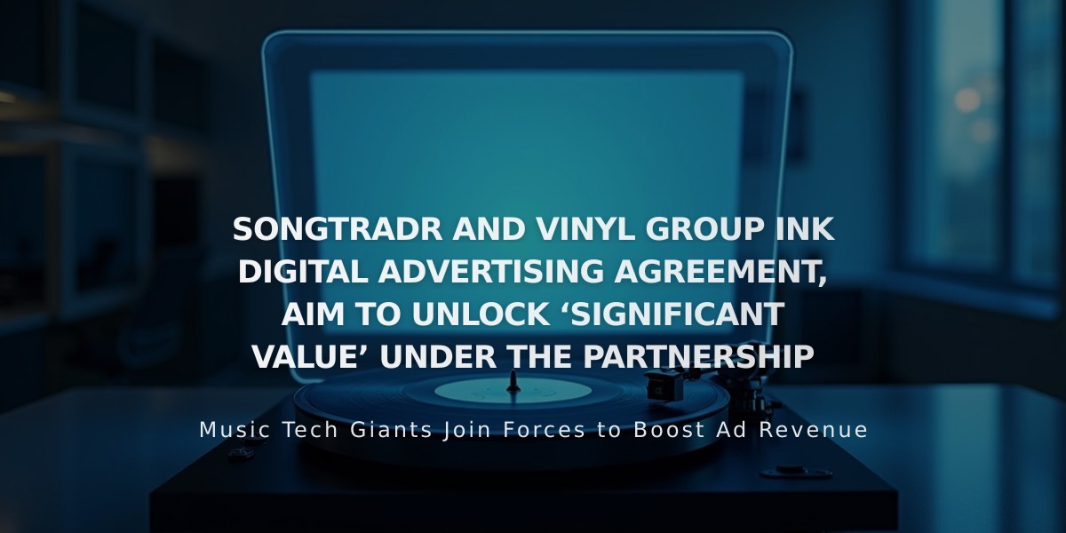 Songtradr and Vinyl Group Partner on Global Digital Ad Deal, Projecting 20x US Market Growth