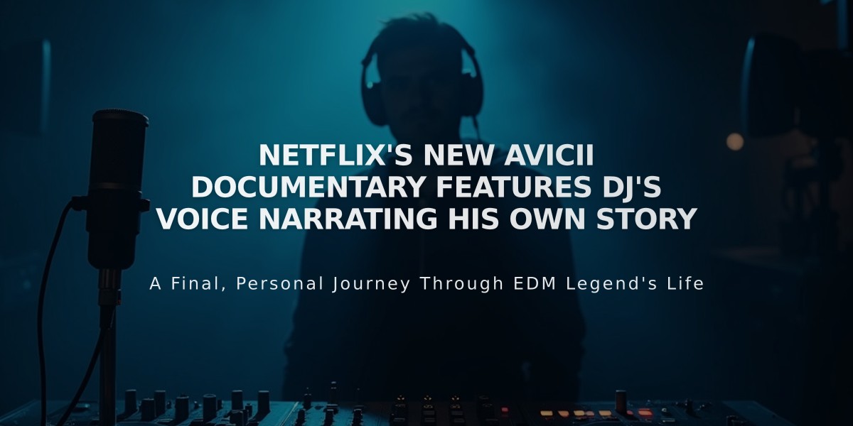 Netflix's New Avicii Documentary Features DJ's Voice Narrating His Own Story