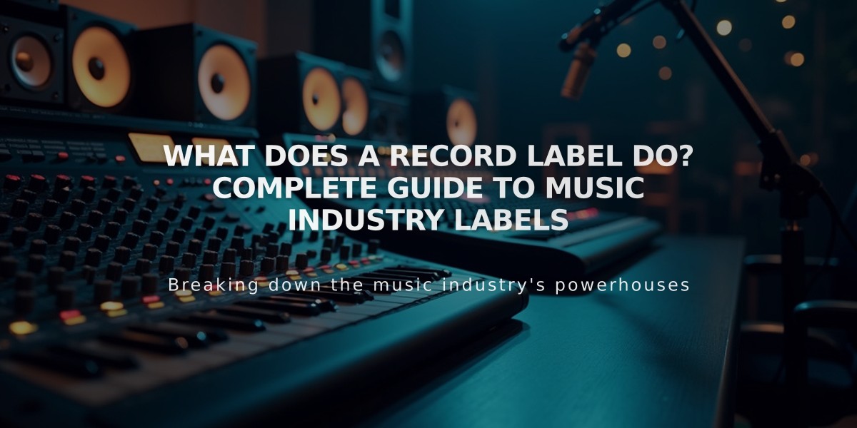 What Does a Record Label Do? Complete Guide to Music Industry Labels