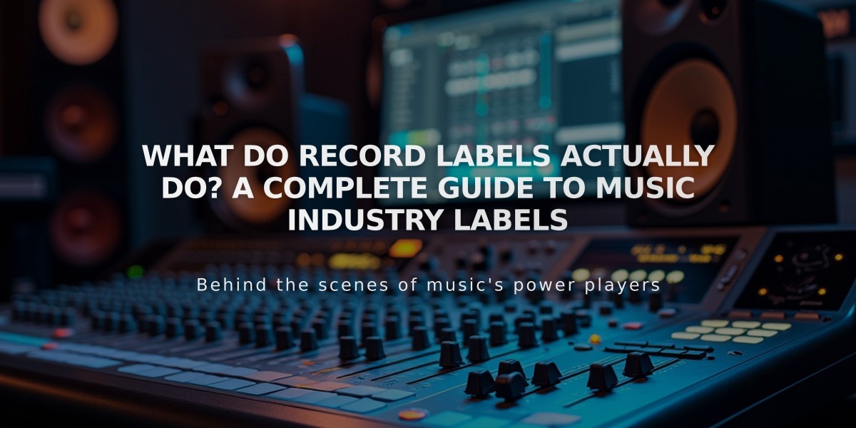 What Do Record Labels Actually Do? A Complete Guide to Music Industry Labels