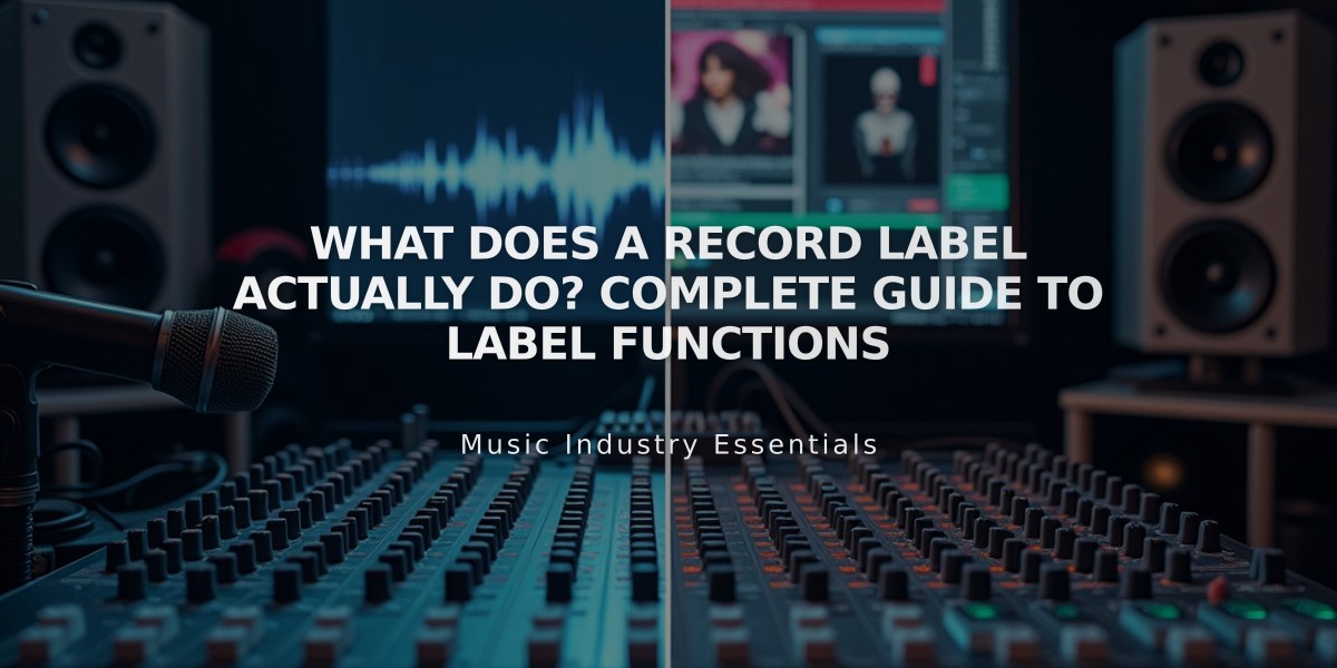 What Does a Record Label Actually Do? Complete Guide to Label Functions