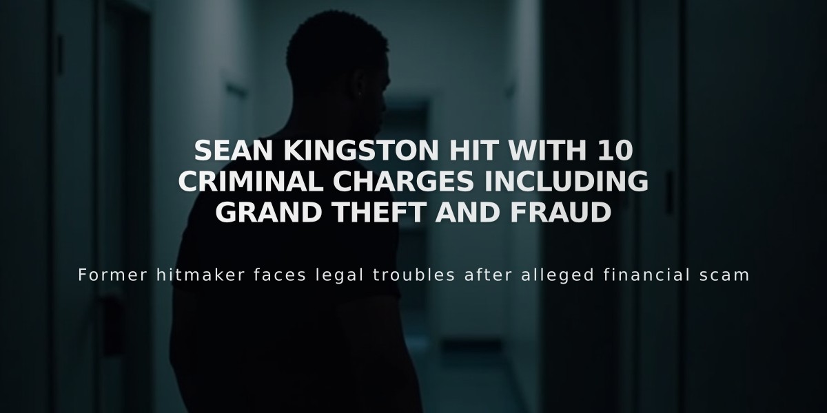 Sean Kingston Hit With 10 Criminal Charges Including Grand Theft and Fraud