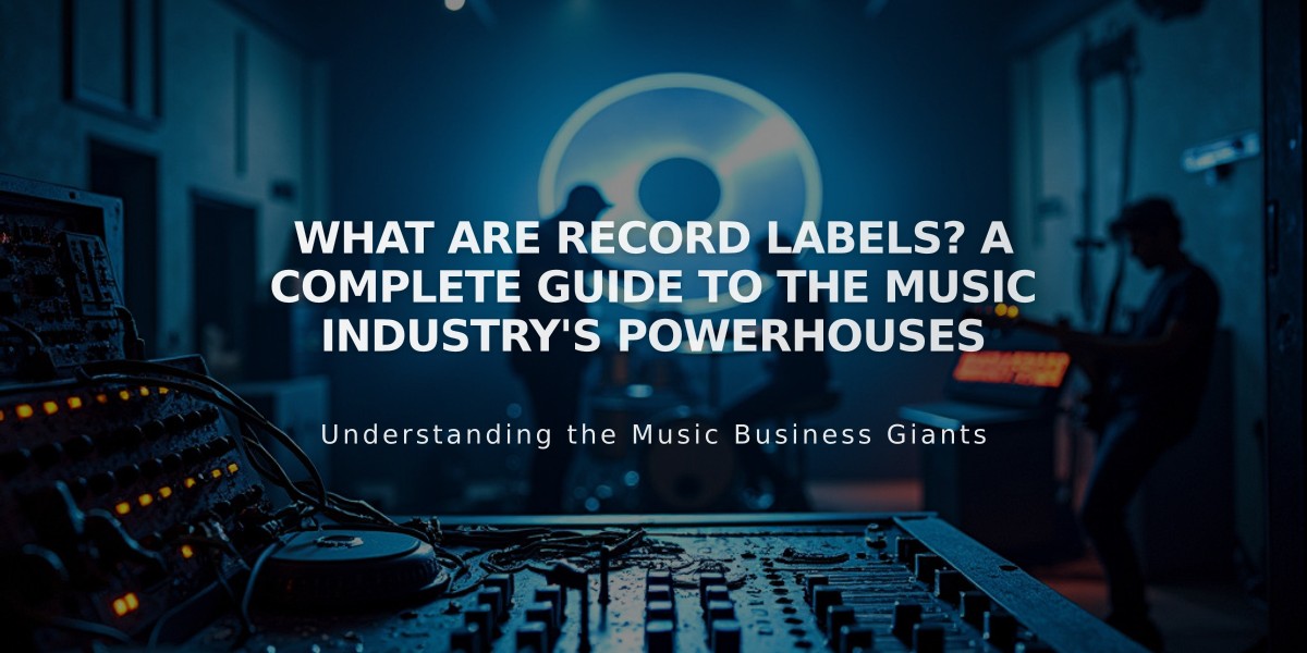 What Are Record Labels? A Complete Guide to the Music Industry's Powerhouses