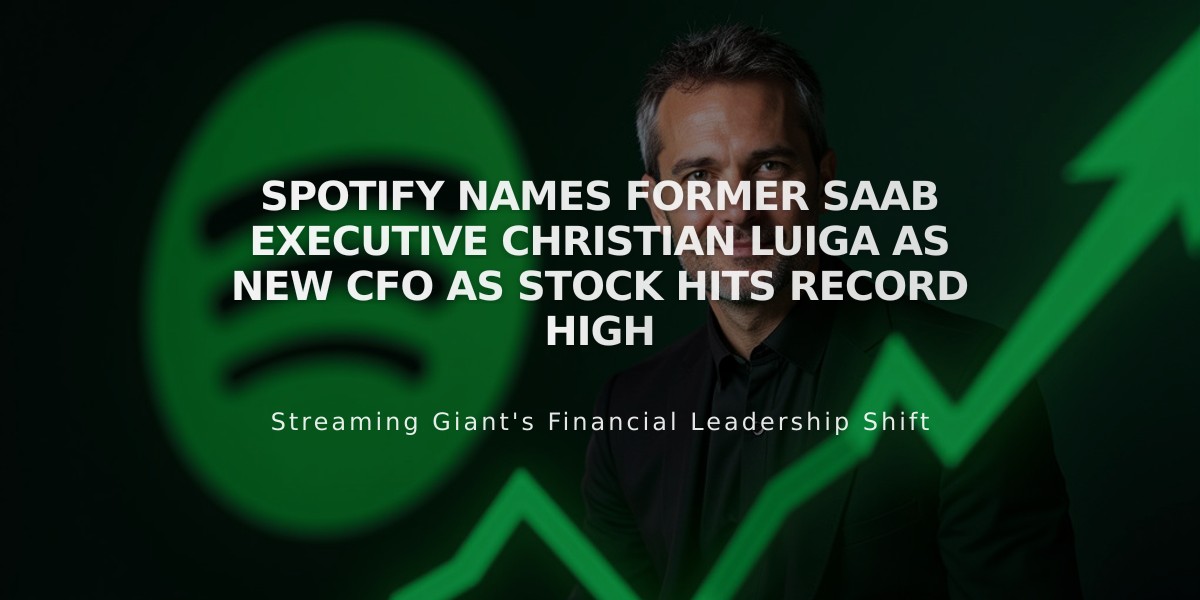 Spotify Names Former Saab Executive Christian Luiga as New CFO as Stock Hits Record High