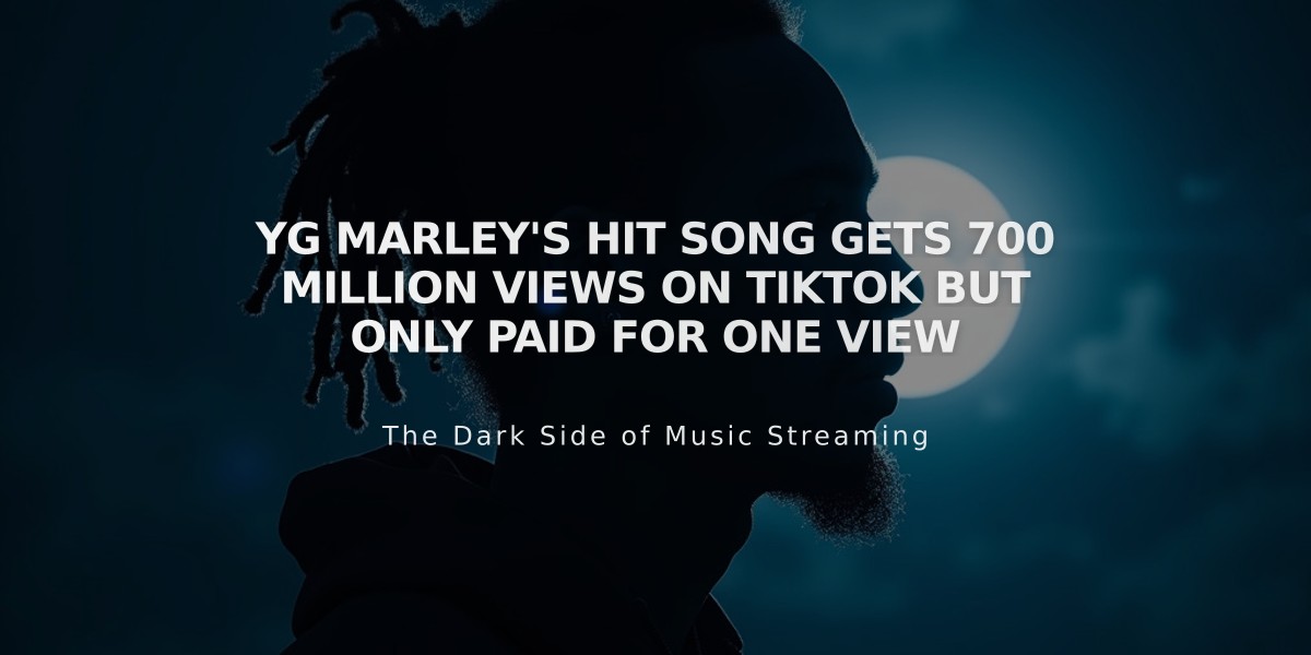 YG Marley's Hit Song Gets 700 Million Views on TikTok But Only Paid for One View