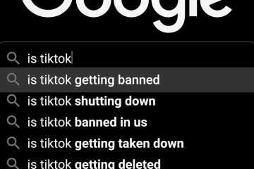 Google search bar showing TikTok queries