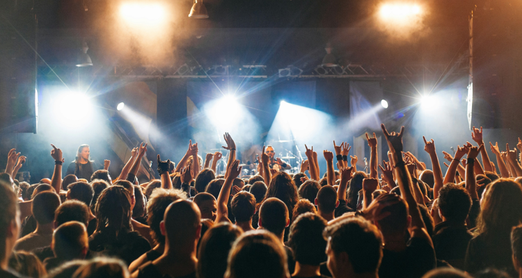 Concert crowd at outdoor venue