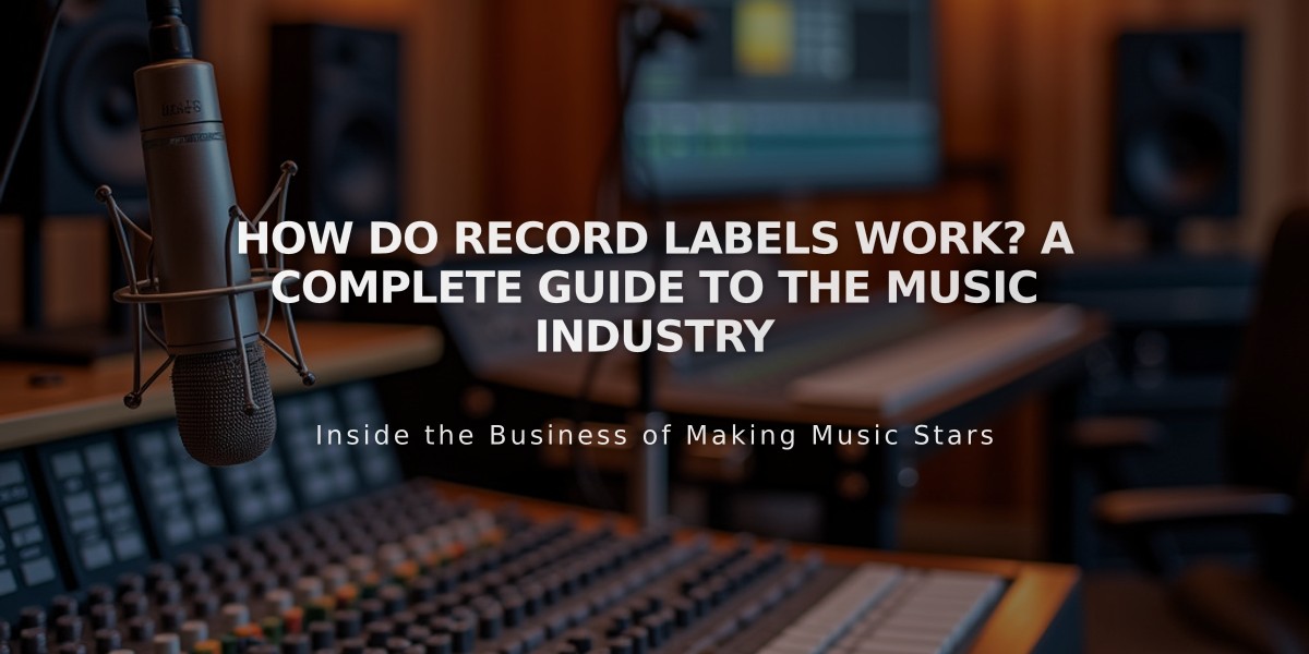 How Do Record Labels Work? A Complete Guide to the Music Industry