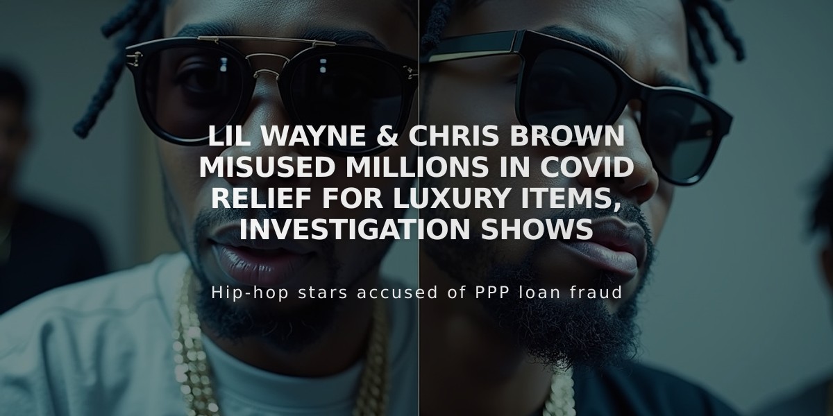 Lil Wayne & Chris Brown Misused Millions in COVID Relief for Luxury Items, Investigation Shows