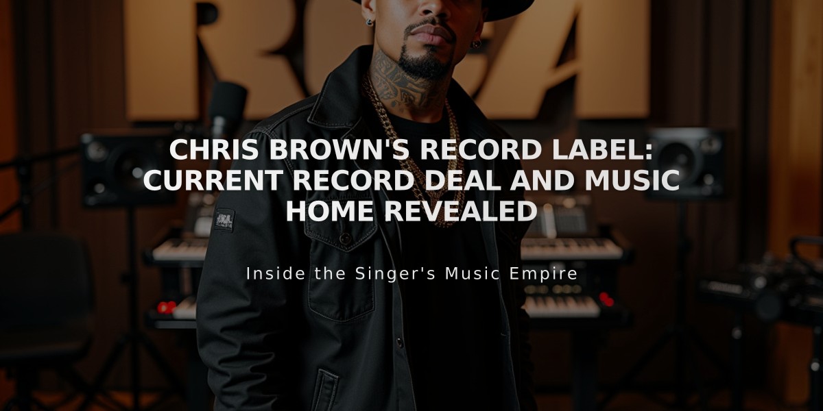 Chris Brown's Record Label: Current Record Deal and Music Home Revealed