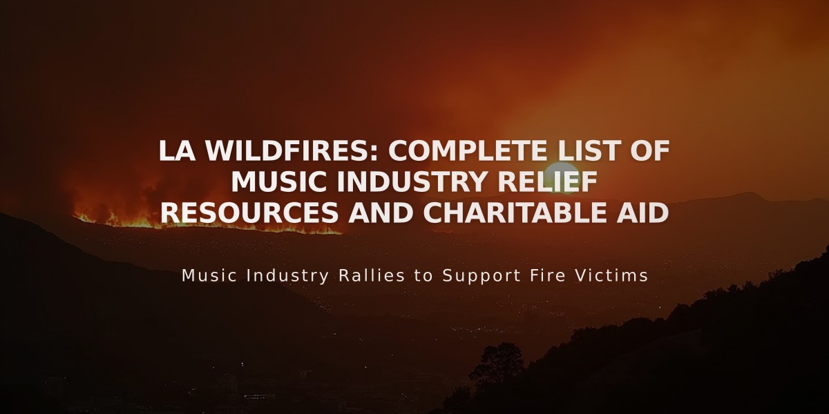 LA Wildfires: Complete List of Music Industry Relief Resources and Charitable Aid