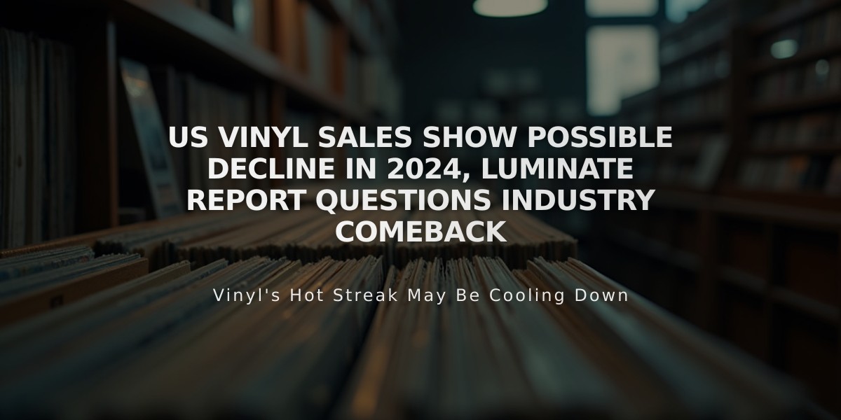 US Vinyl Sales Show Possible Decline in 2024, Luminate Report Questions Industry Comeback