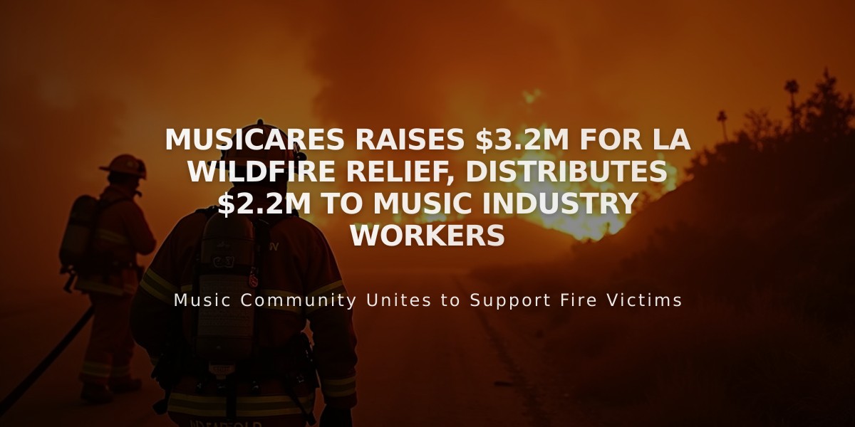 MusiCares Raises $3.2M for LA Wildfire Relief, Distributes $2.2M to Music Industry Workers