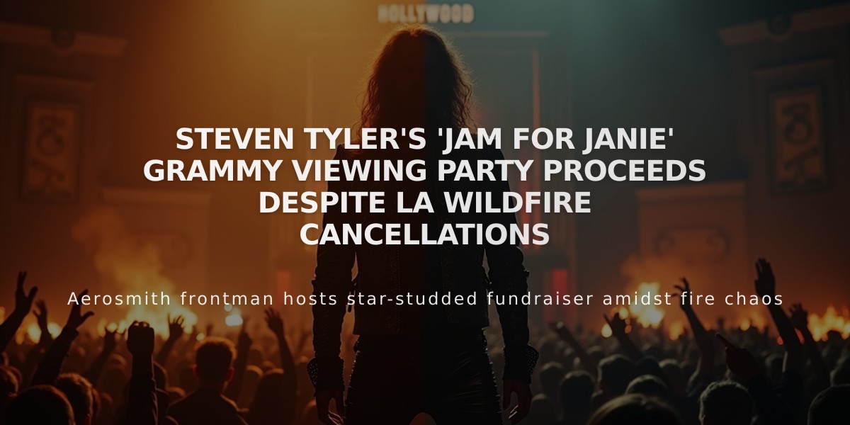 Steven Tyler's 'Jam for Janie' Grammy Viewing Party Proceeds Despite LA Wildfire Cancellations