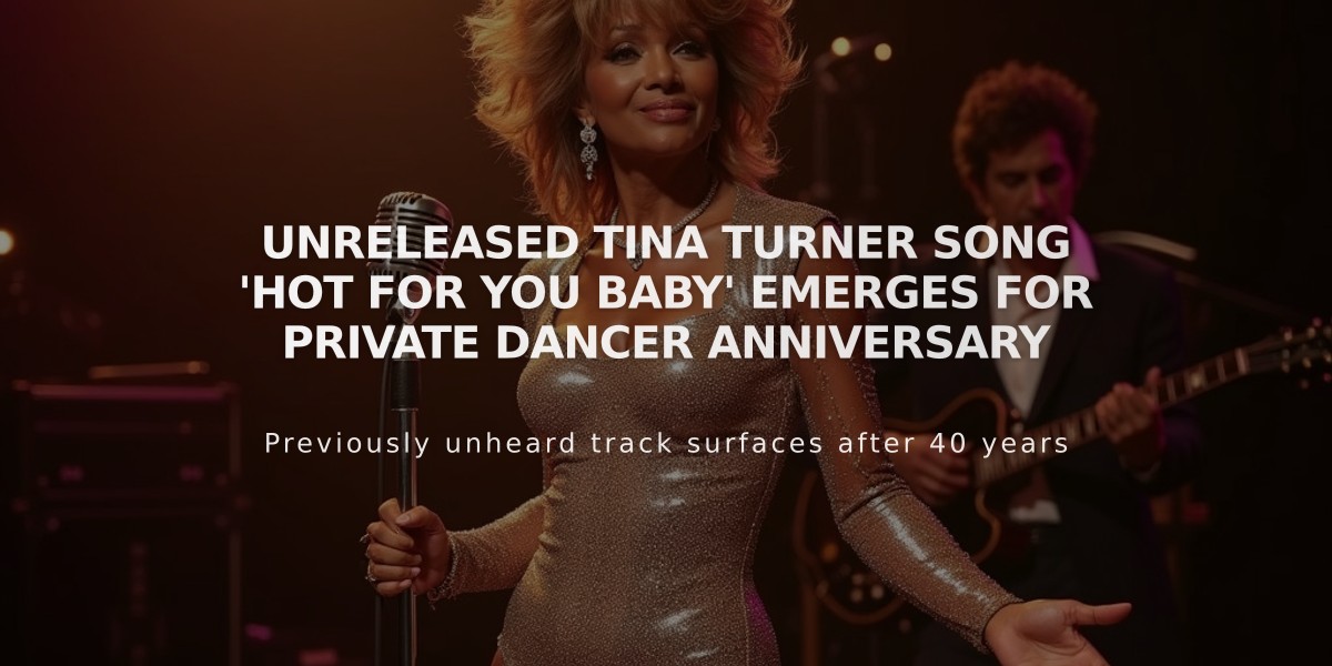 Unreleased Tina Turner Song 'Hot For You Baby' Emerges for Private Dancer Anniversary