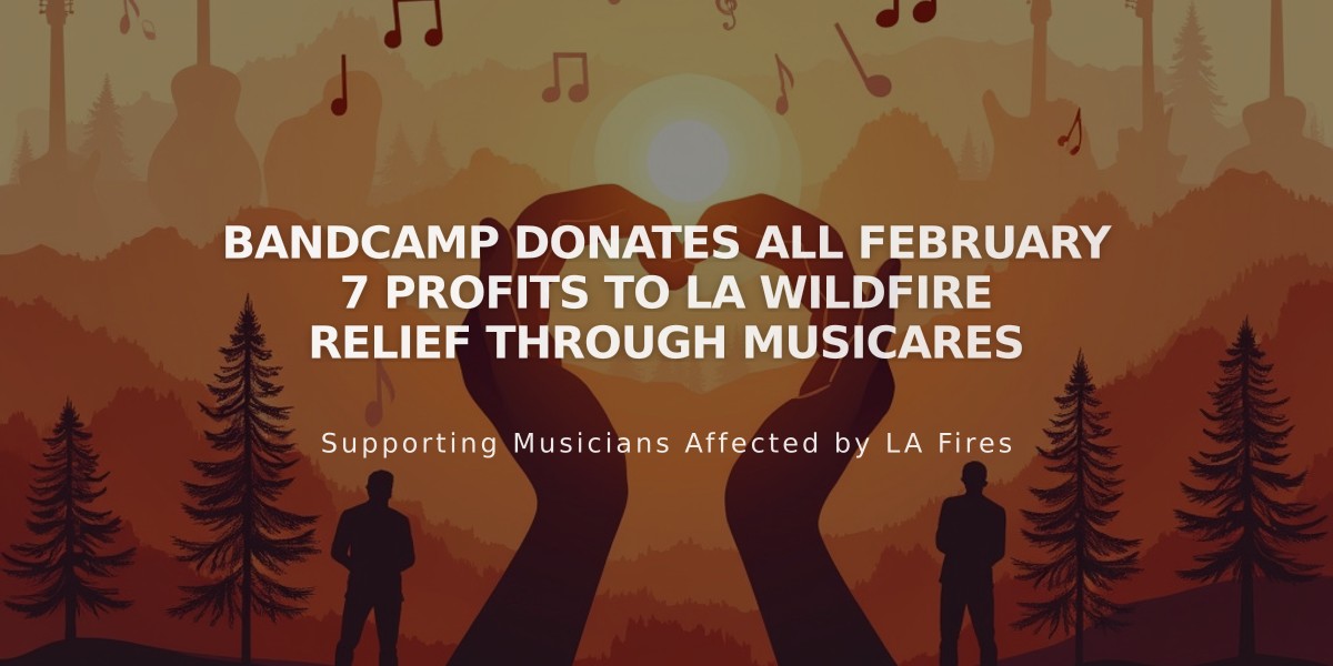 Bandcamp Donates All February 7 Profits to LA Wildfire Relief Through MusiCares