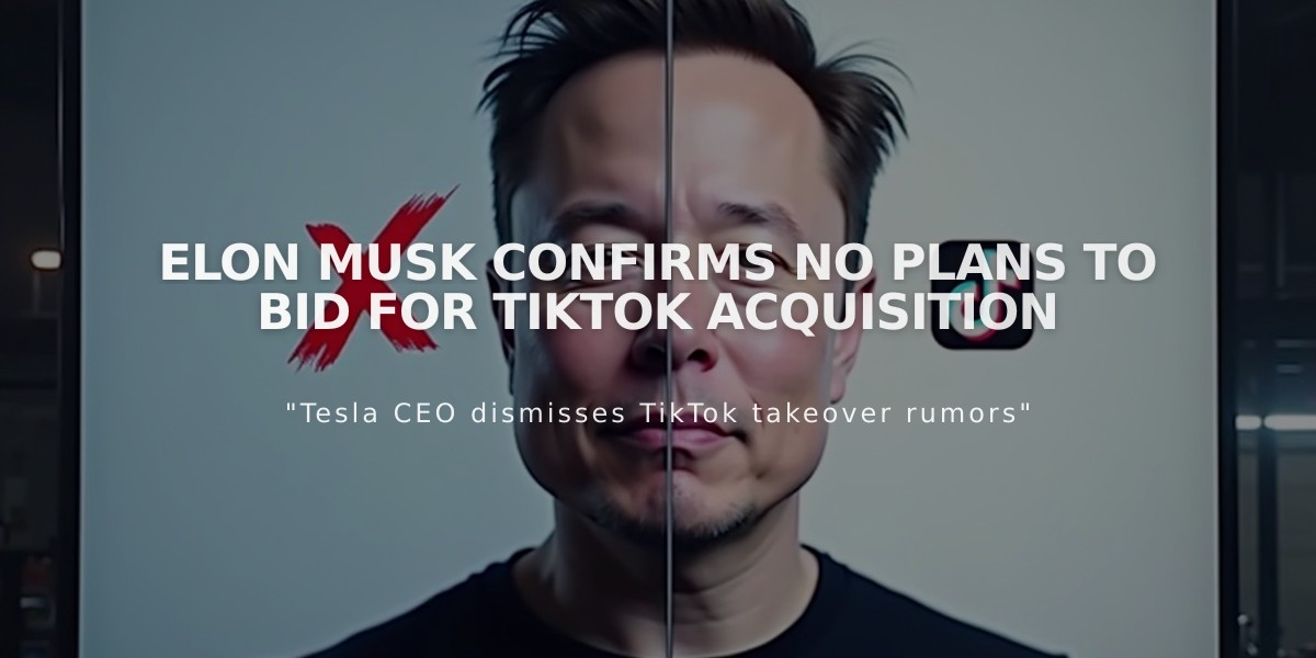 Elon Musk Confirms No Plans to Bid for TikTok Acquisition