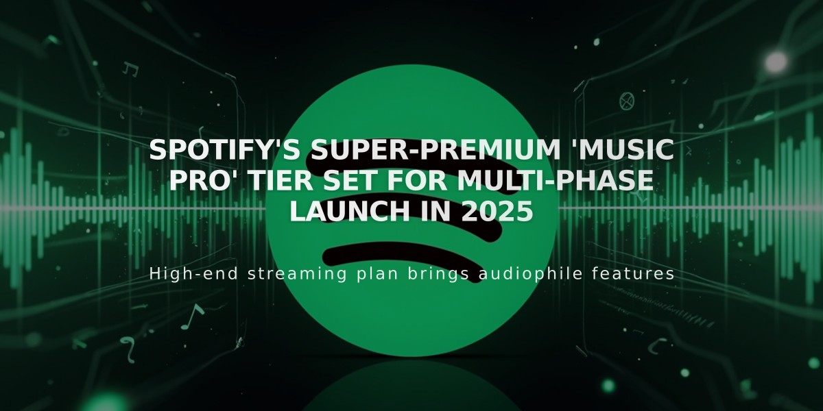 Spotify's Super-Premium 'Music Pro' Tier Set for Multi-Phase Launch in 2025