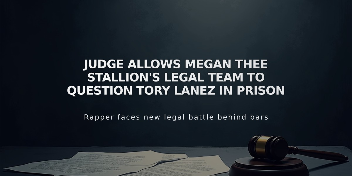 Judge Allows Megan Thee Stallion's Legal Team to Question Tory Lanez in Prison